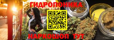 кокс Донской