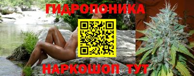 кокс Донской