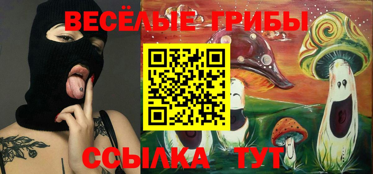 Знаменск  Псилоцибиновые грибы GOLDEN TEACHER  Вход с VPN 